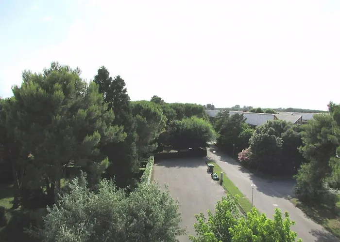 In 35338 * 비비오네